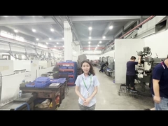 Εργαστήριο επεξεργασίας μούχλας Jedec Trays